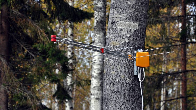 Montering av TV-antenn långt från huset.