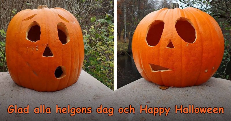 Glad alla helgons dag och Happy Halloween!